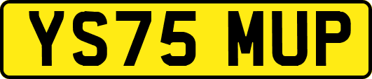 YS75MUP