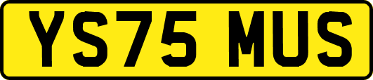 YS75MUS