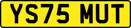 YS75MUT