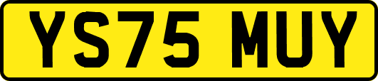 YS75MUY