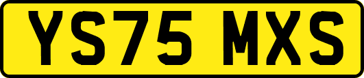 YS75MXS