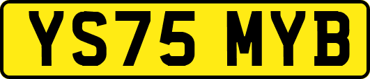 YS75MYB