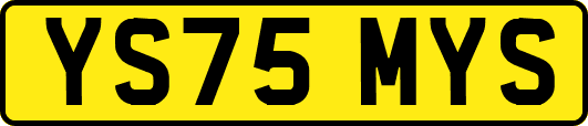 YS75MYS