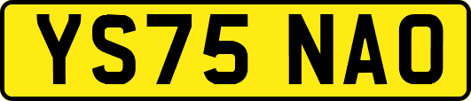 YS75NAO