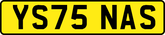 YS75NAS