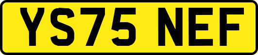 YS75NEF