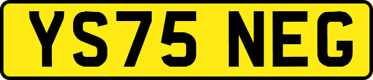 YS75NEG