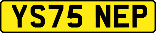 YS75NEP