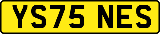 YS75NES