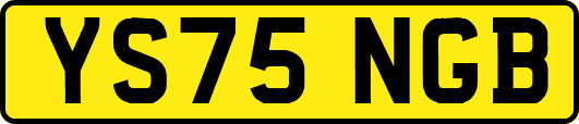YS75NGB