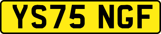 YS75NGF