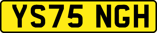 YS75NGH