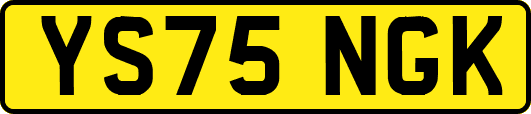 YS75NGK