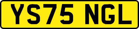 YS75NGL