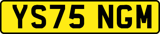 YS75NGM