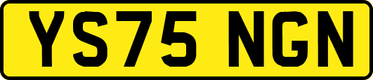 YS75NGN