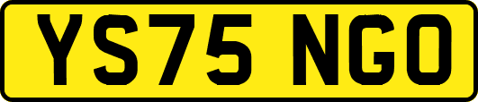 YS75NGO