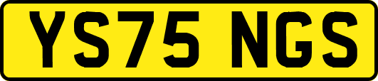 YS75NGS