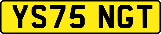YS75NGT