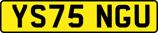 YS75NGU