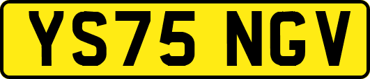 YS75NGV