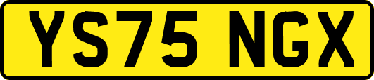 YS75NGX