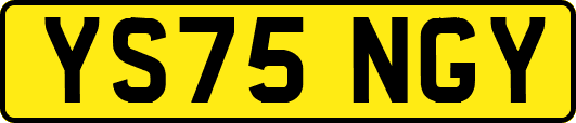 YS75NGY
