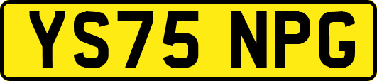 YS75NPG