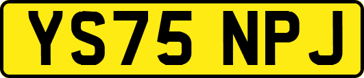 YS75NPJ