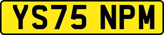 YS75NPM