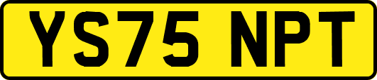 YS75NPT