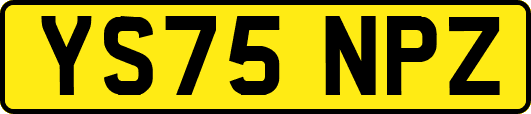 YS75NPZ