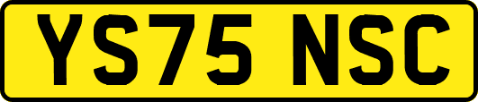 YS75NSC