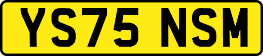 YS75NSM