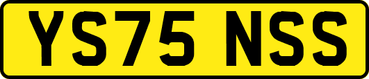 YS75NSS