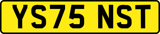 YS75NST