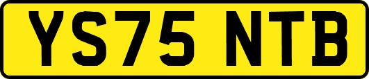 YS75NTB