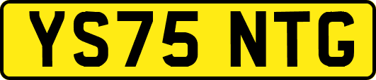 YS75NTG