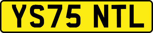 YS75NTL