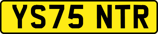YS75NTR