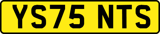 YS75NTS