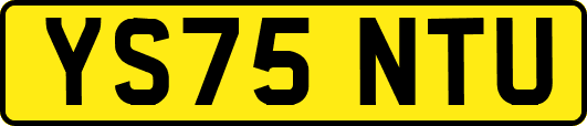 YS75NTU