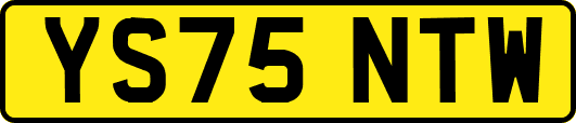 YS75NTW