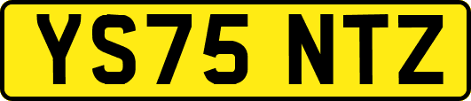 YS75NTZ