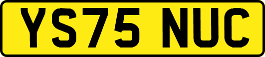 YS75NUC