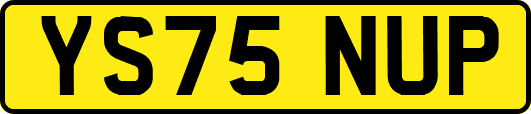 YS75NUP