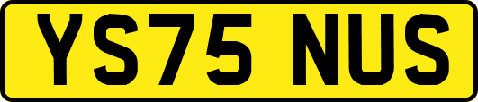 YS75NUS