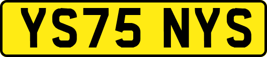 YS75NYS