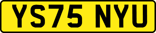 YS75NYU