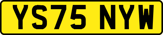 YS75NYW
